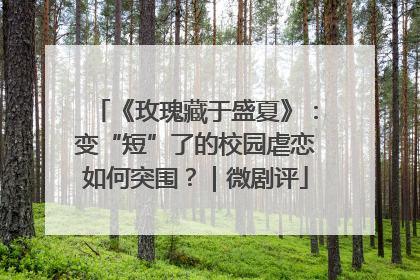 《玫瑰藏于盛夏》：变“短”了的校园虐恋如何突围？｜微剧评