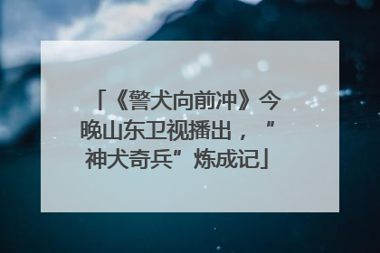 《警犬向前冲》今晚山东卫视播出，“神犬奇兵”炼成记