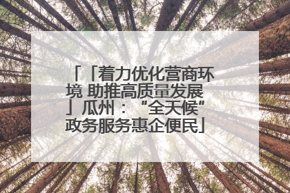「着力优化营商环境 助推高质量发展」瓜州：“全天候”政务服务惠企便民