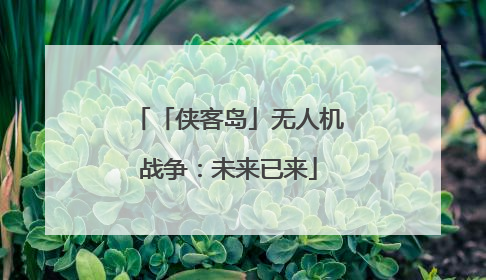 「侠客岛」无人机战争：未来已来