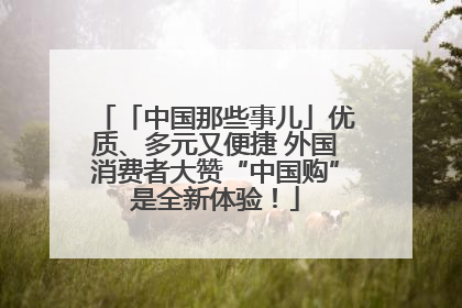 「中国那些事儿」优质、多元又便捷 外国消费者大赞“中国购”是全新体验！