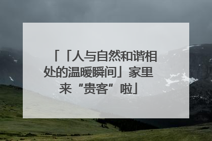 「人与自然和谐相处的温暖瞬间」家里来“贵客”啦