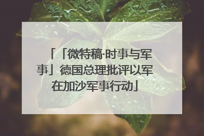 「微特稿·时事与军事」德国总理批评以军在加沙军事行动