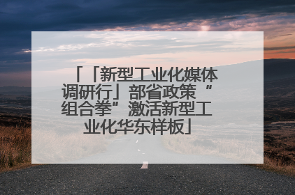 「新型工业化媒体调研行」部省政策“组合拳”激活新型工业化华东样板