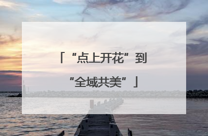 “点上开花”到“全域共美”