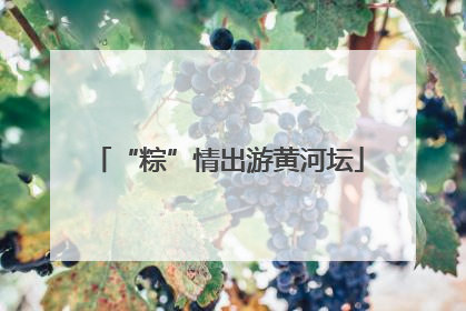 “粽”情出游黄河坛