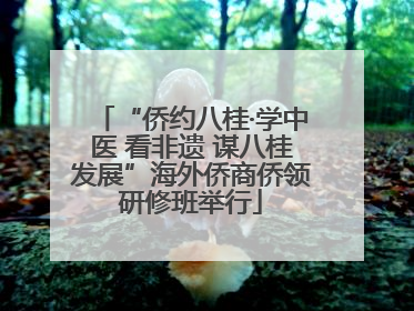 “侨约八桂·学中医 看非遗 谋八桂发展”海外侨商侨领研修班举行