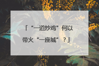 “一道炒鸡”何以带火“一座城”？