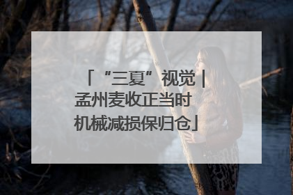 “三夏”视觉｜孟州麦收正当时 机械减损保归仓
