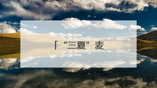 “三夏”麦香溢满仓