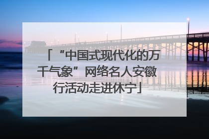 “中国式现代化的万千气象”网络名人安徽行活动走进休宁