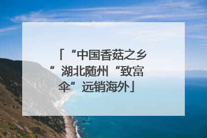 “中国香菇之乡”湖北随州“致富伞”远销海外