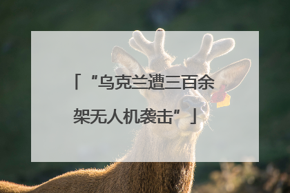 “乌克兰遭三百余架无人机袭击”