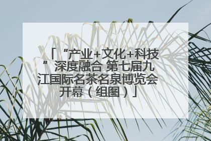 “产业+文化+科技”深度融合 第七届九江国际名茶名泉博览会开幕（组图）