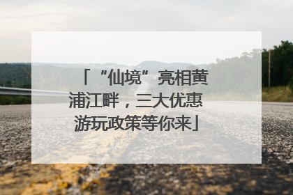 “仙境”亮相黄浦江畔，三大优惠游玩政策等你来