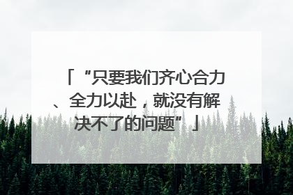 “只要我们齐心合力、全力以赴，就没有解决不了的问题”