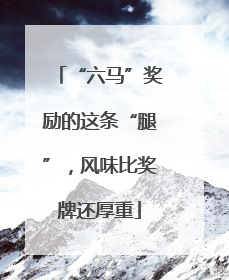 “六马”奖励的这条“腿”，风味比奖牌还厚重