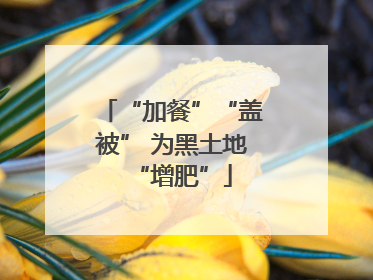“加餐”“盖被” 为黑土地“增肥”