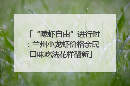 “嗦虾自由”进行时：兰州小龙虾价格亲民口味吃法花样翻新