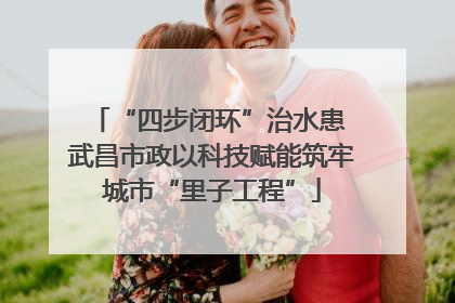 “四步闭环”治水患 武昌市政以科技赋能筑牢城市“里子工程”