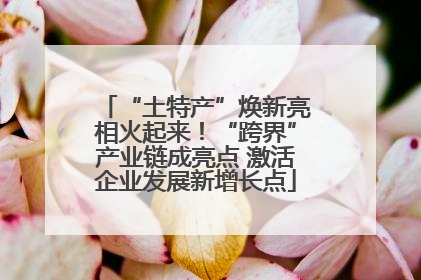 “土特产”焕新亮相火起来！“跨界”产业链成亮点 激活企业发展新增长点