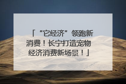“它经济”领跑新消费！长宁打造宠物经济消费新场景！