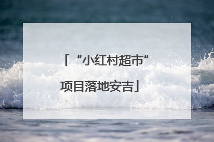 “小红村超市”项目落地安吉
