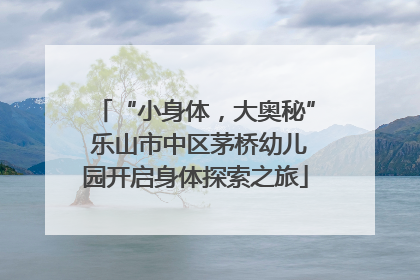 “小身体，大奥秘” 乐山市中区茅桥幼儿园开启身体探索之旅