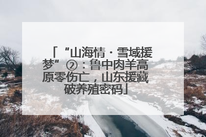 “山海情・雪域援梦”②：鲁中肉羊高原零伤亡，山东援藏破养殖密码