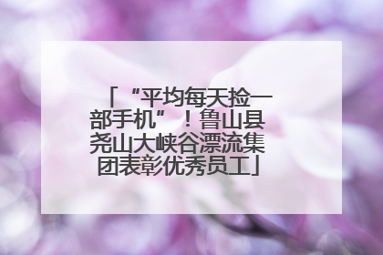 “平均每天捡一部手机”！鲁山县尧山大峡谷漂流集团表彰优秀员工