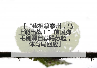 “我祖籍泰州，马上能出战！”前国脚毛剑卿自荐踢苏超，体育局回应