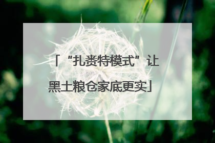 “扎赉特模式”让黑土粮仓家底更实