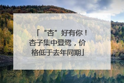 “杏”好有你！杏子集中登鹭，价格低于去年同期