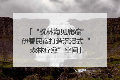 “枕林海见鹿踪” 伊春民宿打造沉浸式“森林疗愈”空间