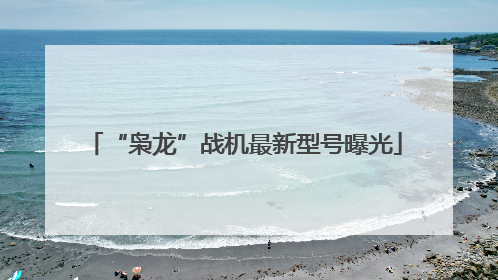 “枭龙”战机最新型号曝光
