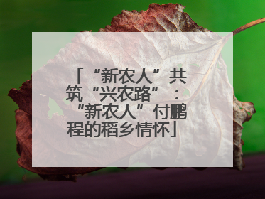 “新农人”共筑“兴农路”：“新农人”付鹏程的稻乡情怀