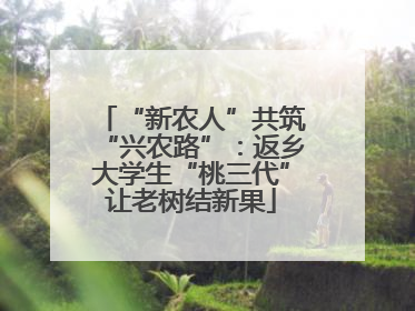 “新农人”共筑“兴农路”：返乡大学生“桃三代”让老树结新果