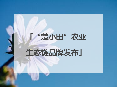 “楚小田”农业生态链品牌发布
