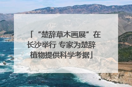 “楚辞草木画展”在长沙举行 专家为楚辞植物提供科学考据