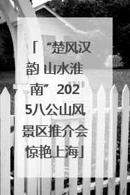 “楚风汉韵 山水淮南”2025八公山风景区推介会惊艳上海