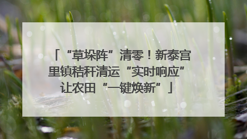 “草垛阵”清零！新泰宫里镇秸秆清运“实时响应”让农田“一键焕新”