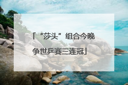 “莎头”组合今晚争世乒赛三连冠