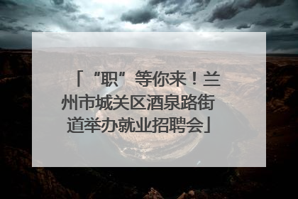 “职”等你来！兰州市城关区酒泉路街道举办就业招聘会