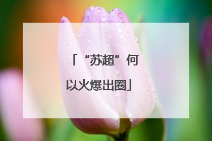 “苏超”何以火爆出圈