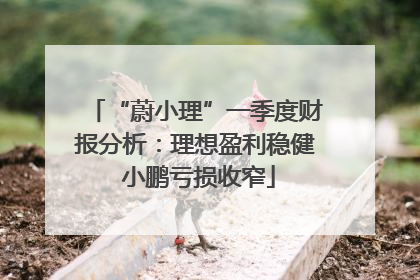 “蔚小理”一季度财报分析：理想盈利稳健 小鹏亏损收窄