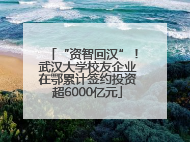 “资智回汉”！武汉大学校友企业在鄂累计签约投资超6000亿元
