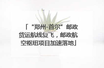 “郑州-首尔”邮政货运航线复飞，邮政航空枢纽项目加速落地