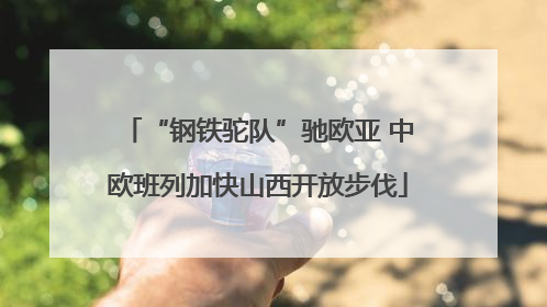 “钢铁驼队”驰欧亚 中欧班列加快山西开放步伐