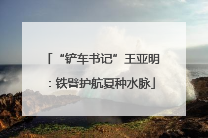 “铲车书记”王亚明：铁臂护航夏种水脉