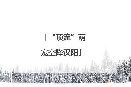 “顶流”萌宠空降汉阳